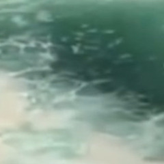 i thinks somthings In the river