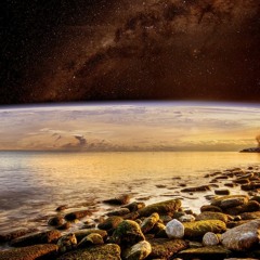 Digital Collective Cognition