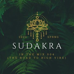 Sudakra in the mix 004 (The Road To High Vibe Fest)