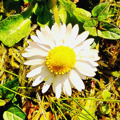 20min de tribe façon sud-ouest