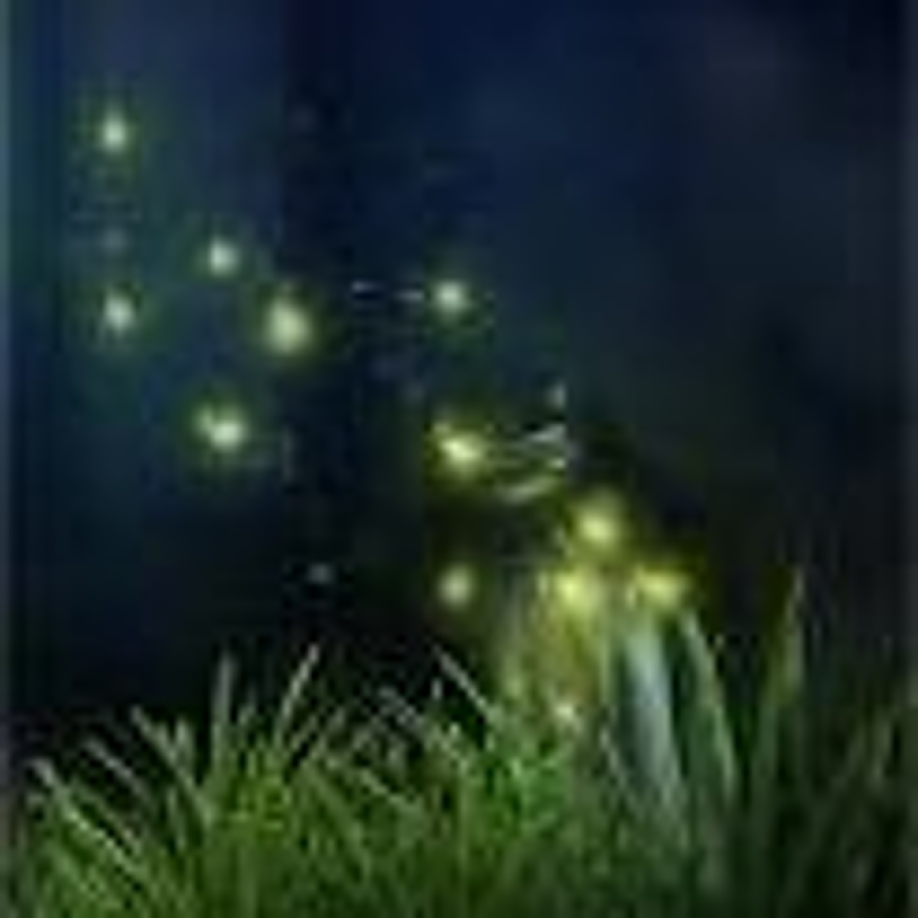 Orenda Sounds (LightWolf)