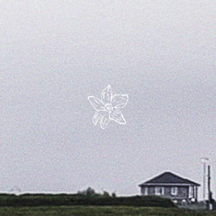 после будут цветы (lyric video в описани)