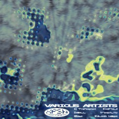 Mindfield - Cheetah