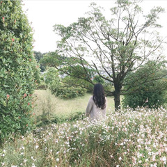 바닐라어쿠스틱, 잿꽃(cover)