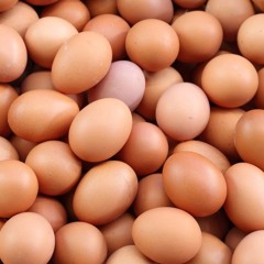 Whinging Aloud Episode 260: Eggscellent