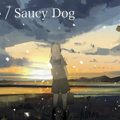 いつか(SomeDay)/Saucy Dog