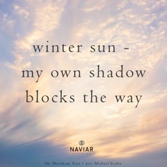 haiku #524: winter sun - / my own shadow / blocks the way