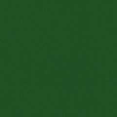 Throw It In The Bag Freestyle