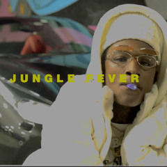 Raw Youngin - Jungle Fever (Official Audio)