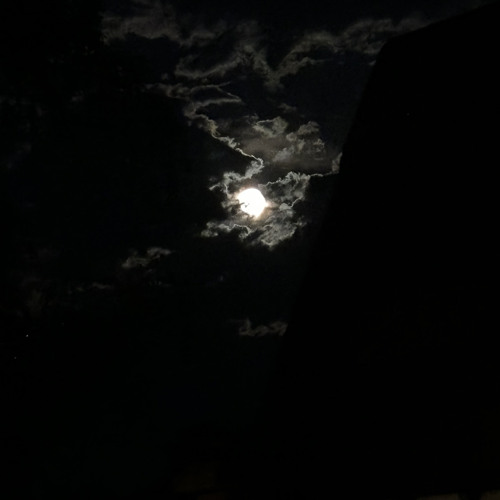 💤