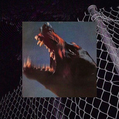 SAPFIR NEVER SLEEP - PRIMAL