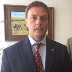 Ricardo Reilly - Nueva propuesta de Minerva