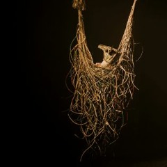 introduction en Amazonie