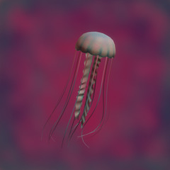 ON MA MIND w/Frank & Joaco