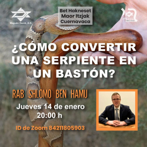 PERASHAT VAERA 5781- COMO CONVERTIR UNA SERPIENTE EN UN BASTON?