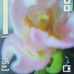 Misty mauve [Radio éclore291.2  mix]