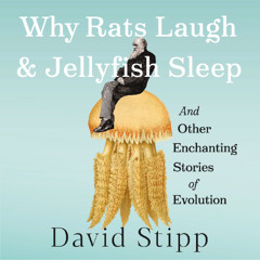 Why Rats Laugh and Jellyfish Sleep By David Stipp, Read By Rick Adamson