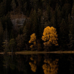 Dark, Darker, Helgeween