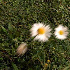 Comeback (Prod. @israabeats)