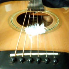 "White Feathers" #2