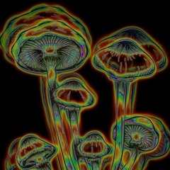 Kotak - Fréquence Funèbre