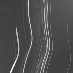 Flowed Flight