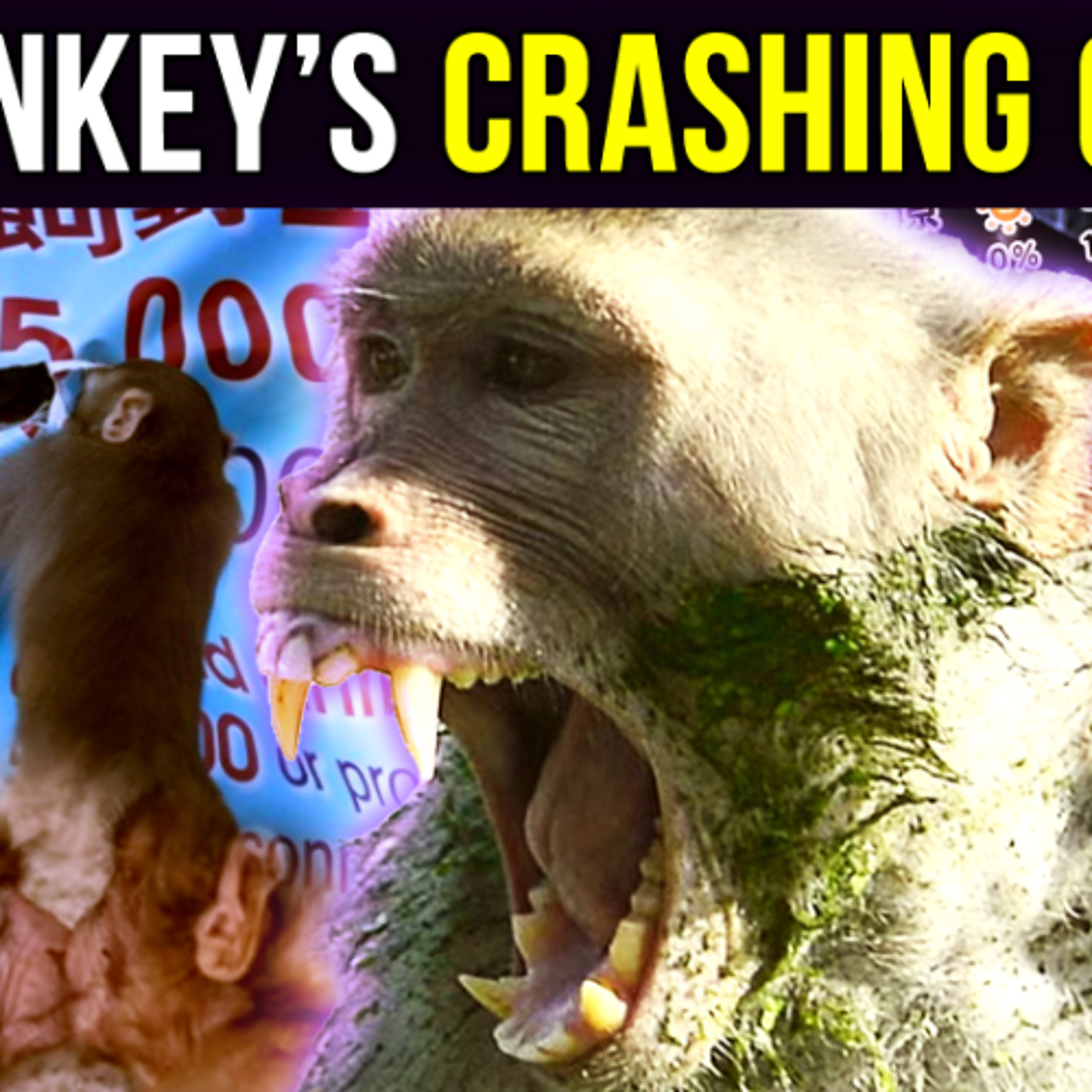 The Podcast of the Lotus Eaters