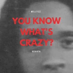 Welltizz - You Know What's Crazy?