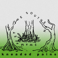 South Vibe's