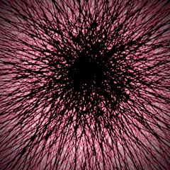 Die Vibrationen des Universums