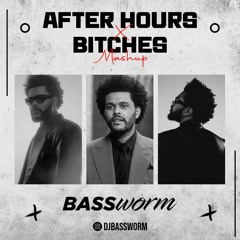 After Hours Bitches - Mashup - DJ BASSWORM