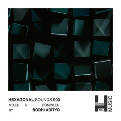 Hexagonal Sounds - 003 - Bodhi Adityo