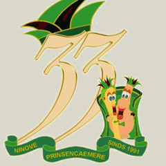 De Prinsencaemer (2025)- De Prinsjekoamer es weer op zwier