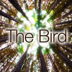 The Bird