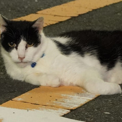 いいことがあった