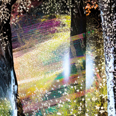 ذي نِقابِ - With a veil