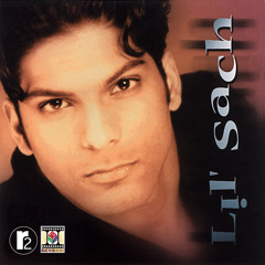 Desi Mega Mix (feat. Surinder Shinda)