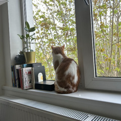 Decay w/ Mapengo - 02/05/2025