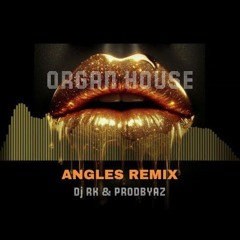 Dj RK & PRODBYAZ - Angles Remix