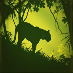 Tiger Gone