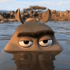 Hippo
