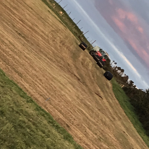 Jimmy McCarthy - The Contender (Dan McCabe)