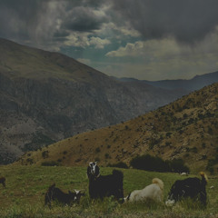 Paya - Belakhare