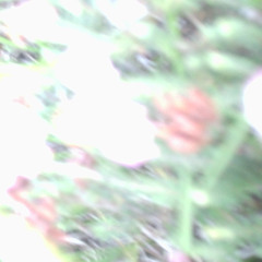 crack dreams chopped and screwed