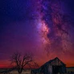 MAREE & MOOSI - grantblack @AD8