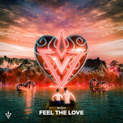 (INV006) /  Feel The Love
