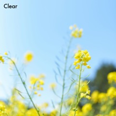 Léauxne - Clear