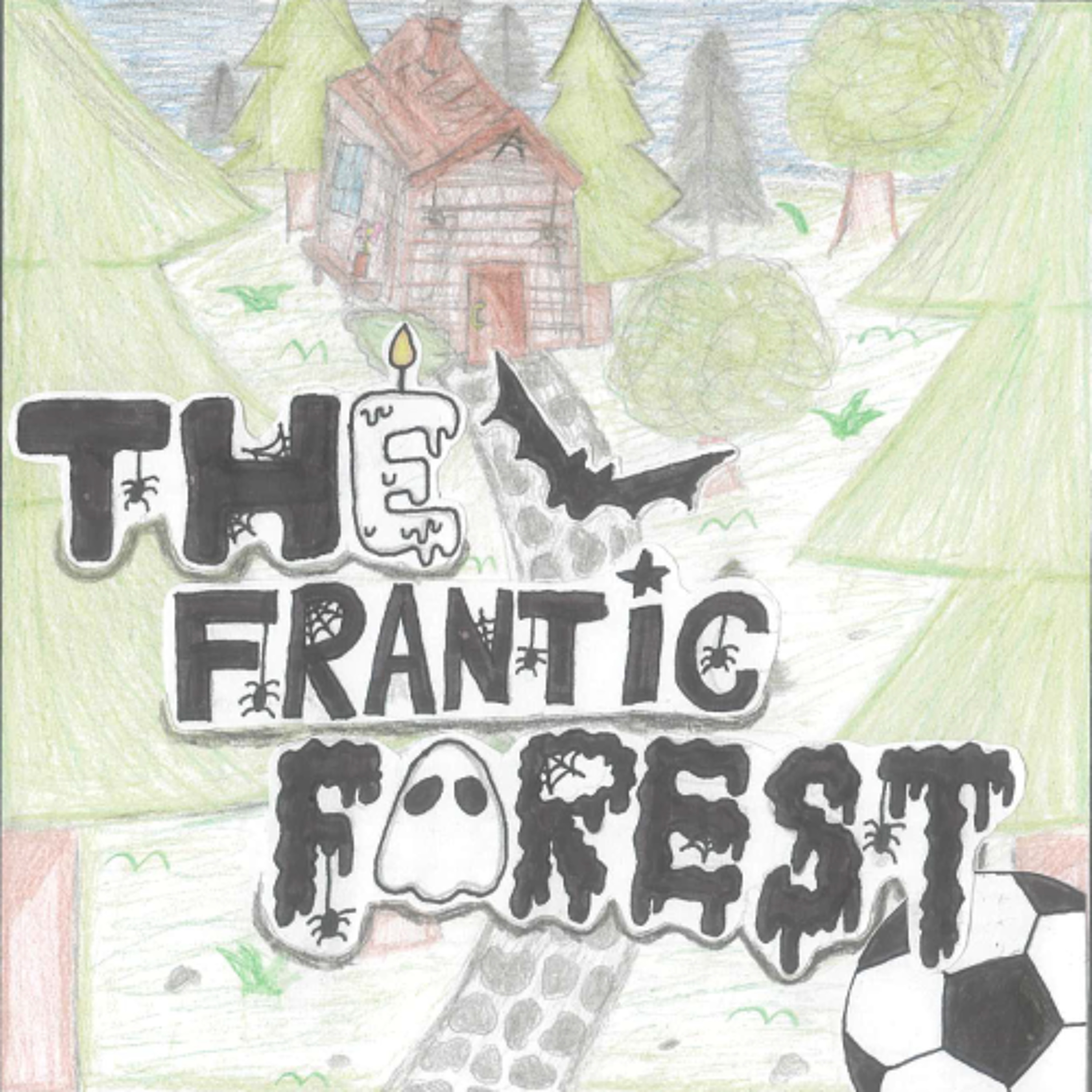 The Frantic Forest - Cynthia, Era, Ranidi and Anna - St Patricks School