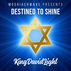 Destined To Shine