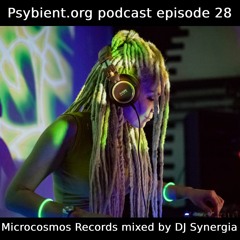 psybient.org podcast ep28 - DJ Synergia - Microcosmos Records Selection